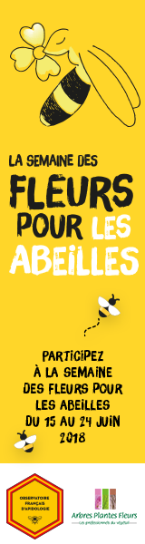 La semaine des fleurs pour les abeilles